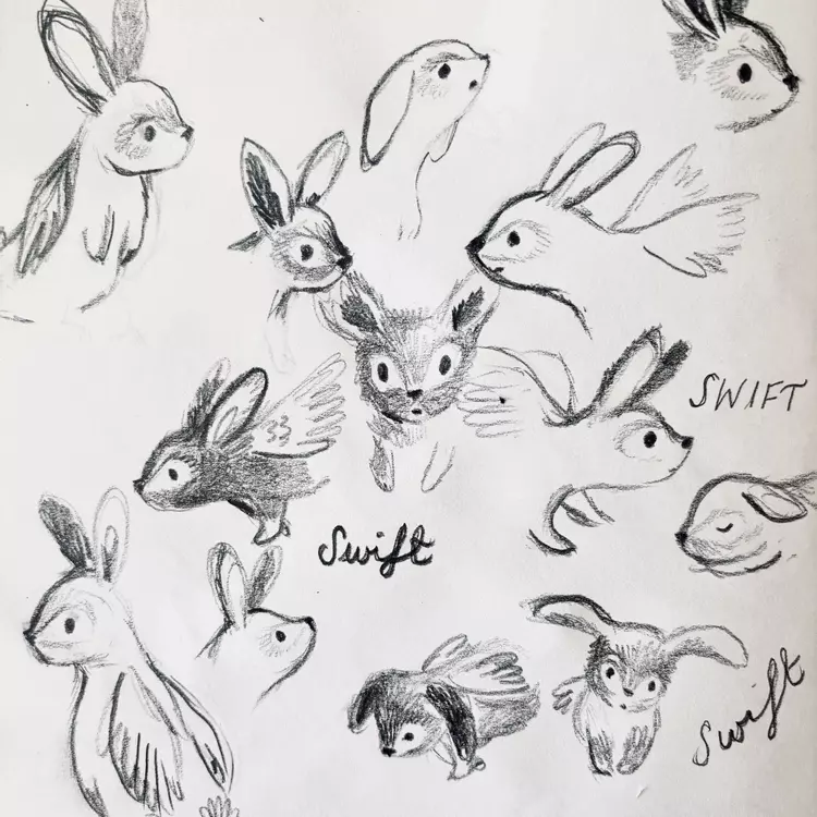 Pencil drawings of Swift, a fauna fairy rabbit from my book &lsquo;The Fauna Fairies&rsquo; 